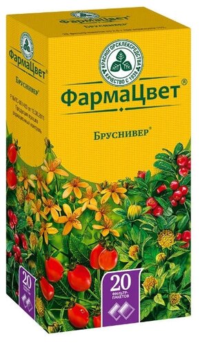 Сбор Бруснивер пак.-фильтр 2г №20