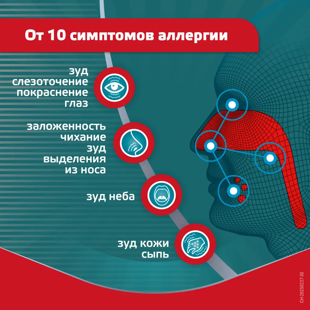 Эриус таб. п/пл. об. 5мг №10 картинка № 4