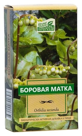 Боровая матка НАСЛЕДИЕ ПРИРОДЫ пак. 30г